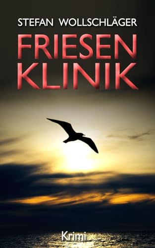 Buchcover: Friesenklinik: Ostfriesen-Krimi (Diederike Dirks ermittelt, Band 2)