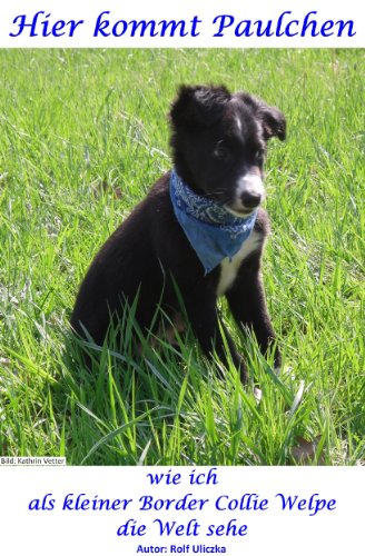 Buchcover: Hier kommt Paulchen: wie ich als kleiner Border Collie Welpe die Welt sehe